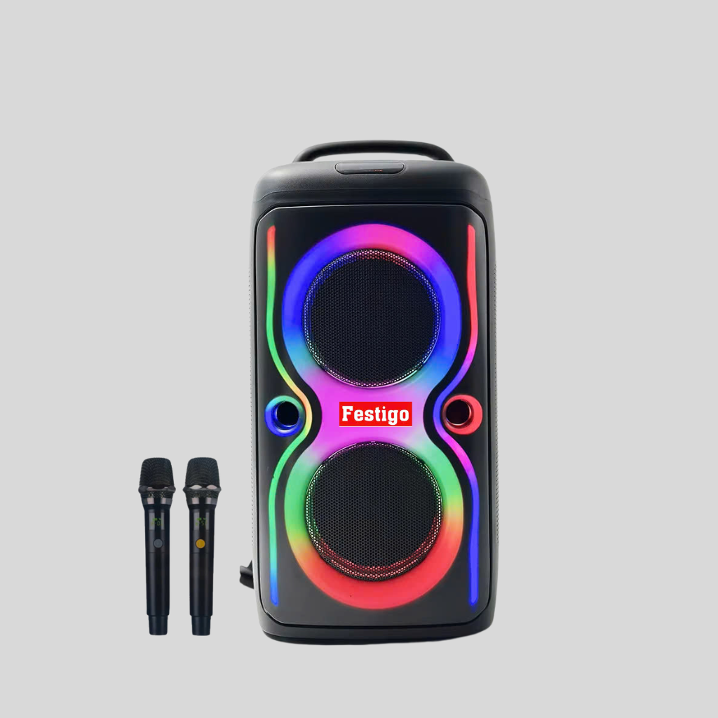 Loa tiệc tùng Festigo 6512 kèm 2 micro kim loại