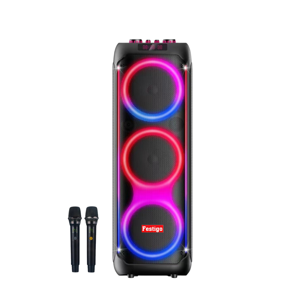 Loa tiệc tùng Festigo 8312 kèm 2 micro không dây