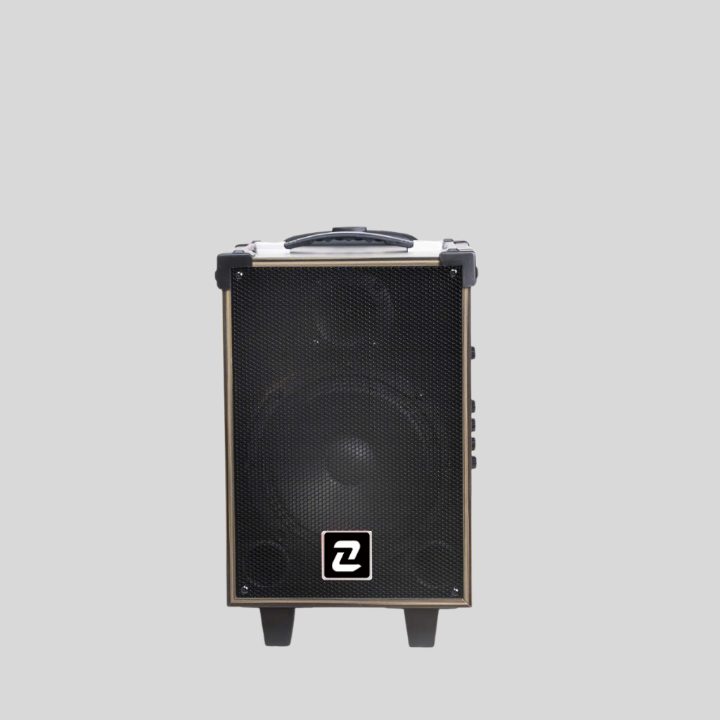 Loa kéo karaoke ZTO 081 kèm 1 micro nghe nhạc – bán hàng – dã ngoại